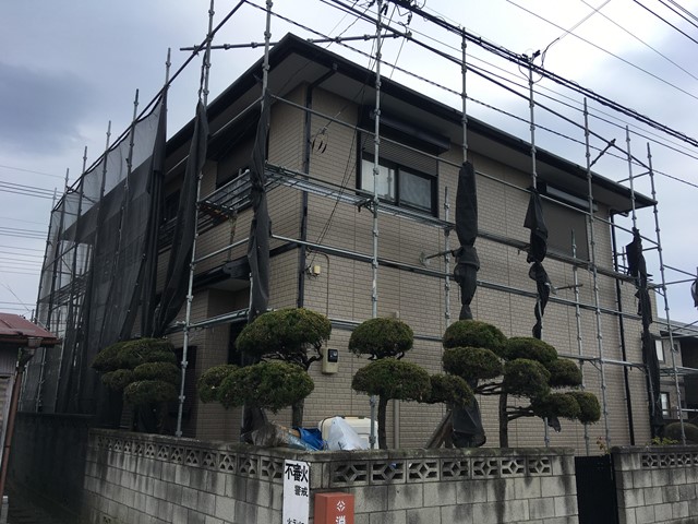 blog